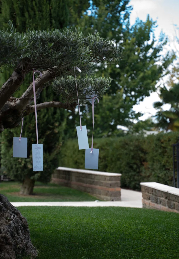 Tre brochure di colore bianco pendono dai rami di un ulivo del giardino principale, circondato da una vegetazione lussureggiante e da un sentiero in pietra.